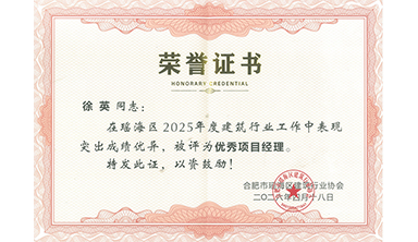 2025年度优秀项目经理
